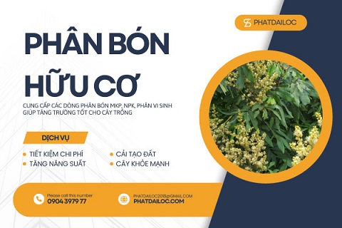 Phân bón hữu cơ - Công Ty TNHH TM DV Phát Đại Lộc